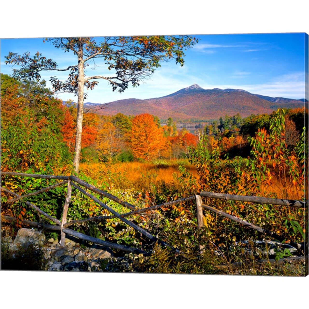 Autumn landscape of Mount Chocorua, New England, New Hampshire by Jaynes Gallery / Danita Delimont 20" x 16" Canvas Wall Art